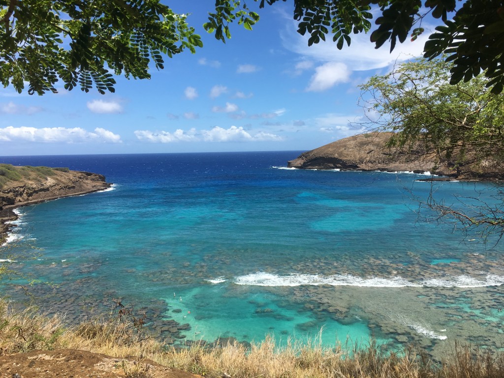 View of Hanauma Bay from the top