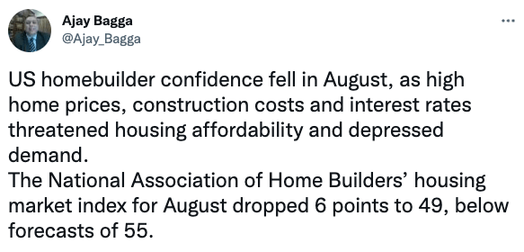US homebuilder confidence fell in August